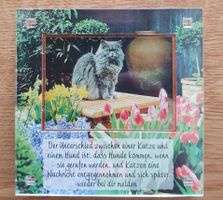 Kleiner Bilderrahmen oder kleines Katzenbild mit Text