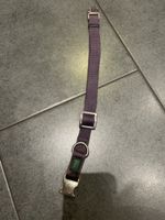 Hunter  Halsband, violett Grösse M