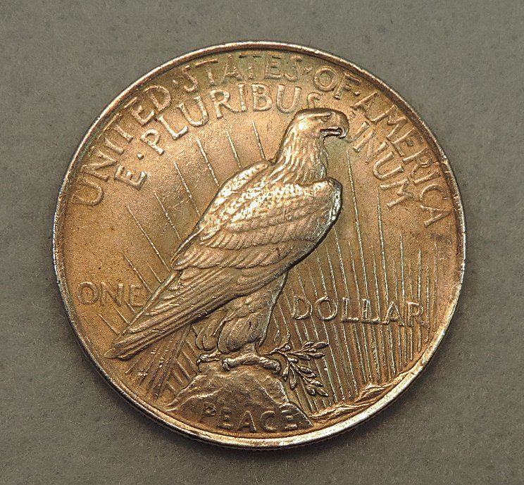 Tutti le monete: USA Peace Dollar 1922, 0900 Silber – Nuovo e nell'imballaggio originale da Duggingen venduto da doogbua 1