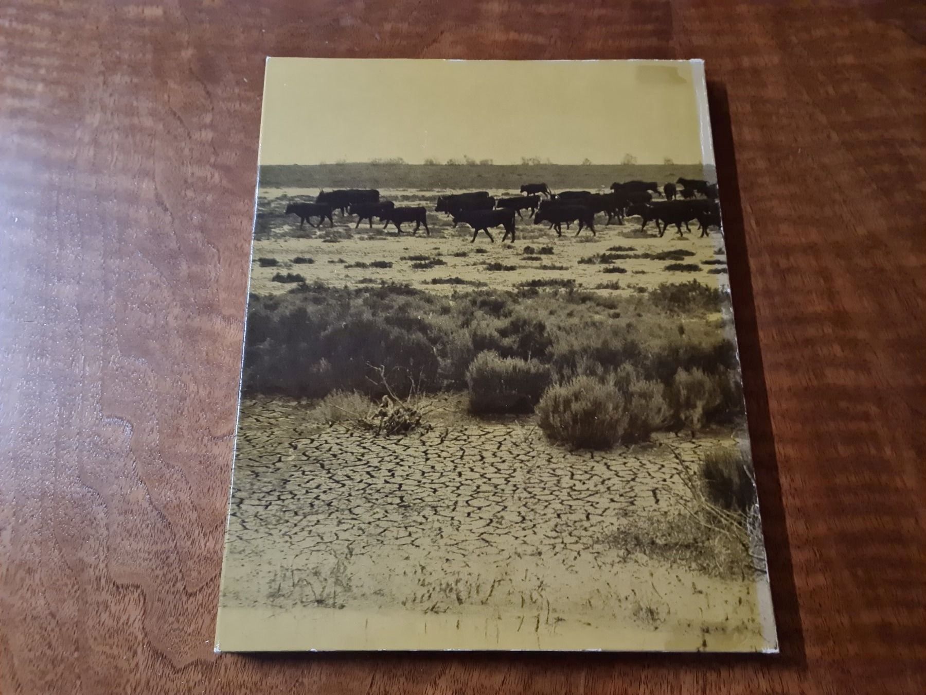 Bücher: Camargue – Gebraucht aus Erstfeld von Mario_boe0 2