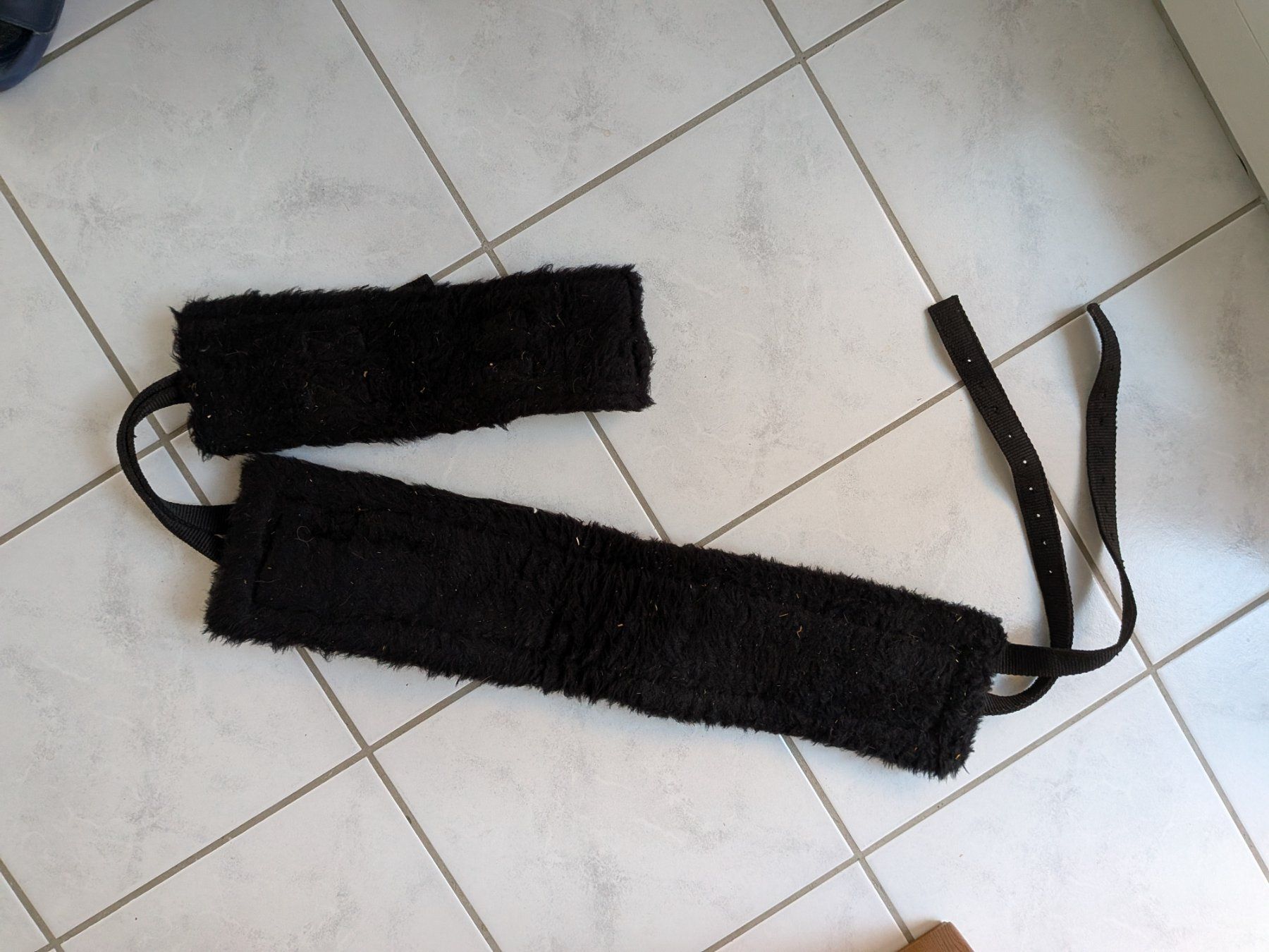 Briglie & Cavezze: Longiergurt Shetty – Usato da Wigoltingen venduto da Tuuf 1