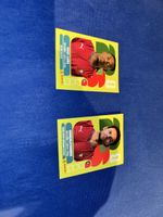 Portugal panini