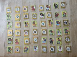 FIFA WM 2026: 493 WM- Panini Sticker in super Zustand