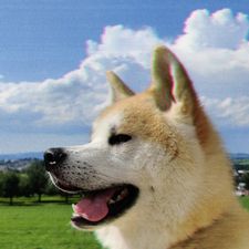 Profile image of hb_zF3