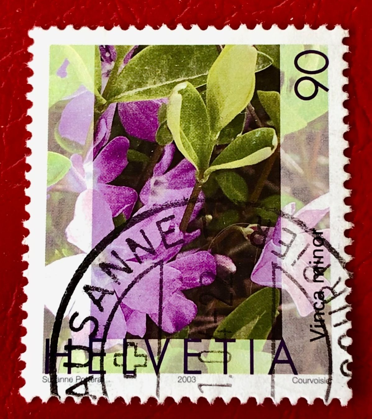 Tutti i francobolli: Nr.1074 Gemeines Flora,Immmergrün GESTEMPELT 2003     – Usato da Aarau venduto da Billa007