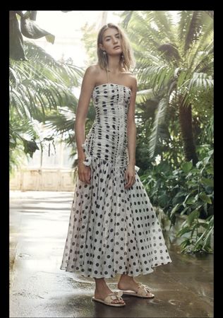 ZIMMERMANN Polka Dot Corsage Ruche Linen-Silk Dress 3