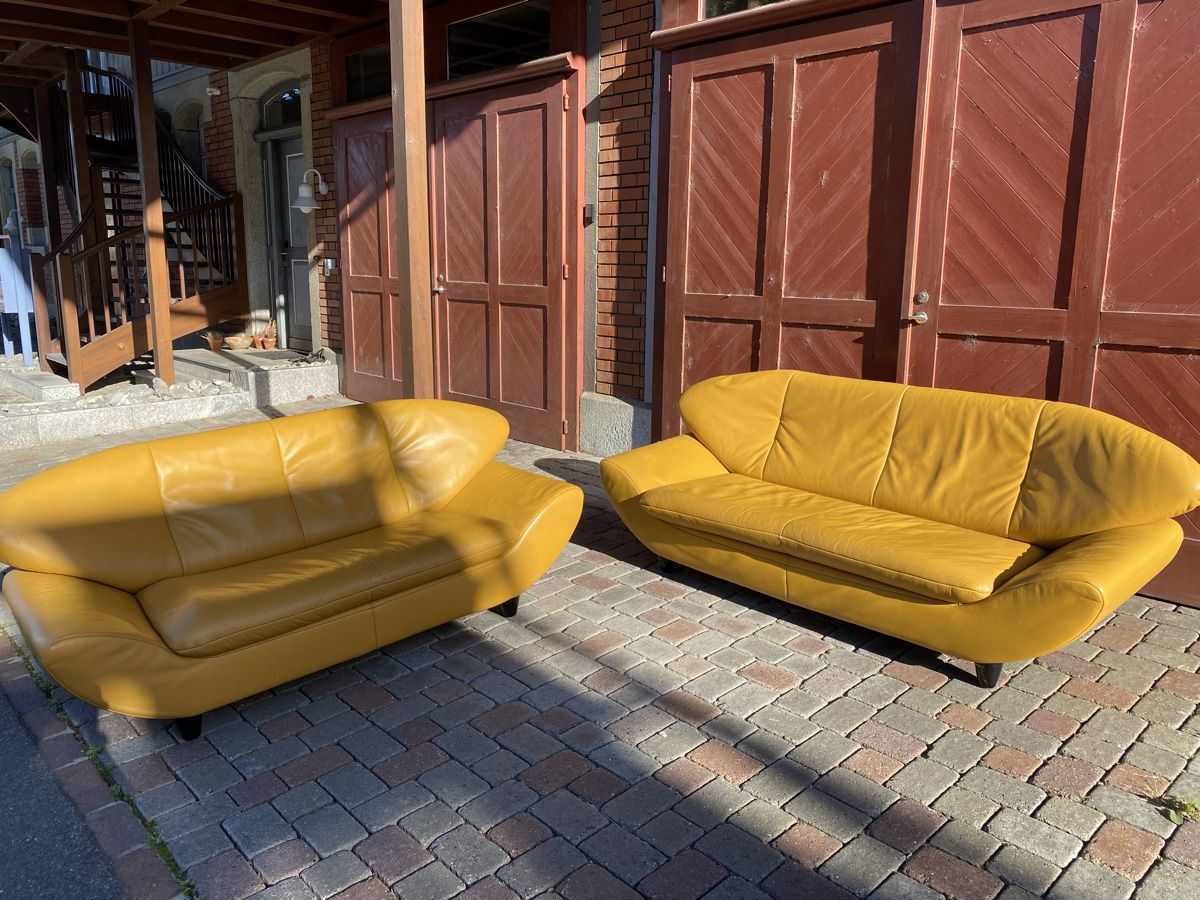 Divani: Rolf Benz Designer Sofas – Usato da Matzingen venduto da RottenApple