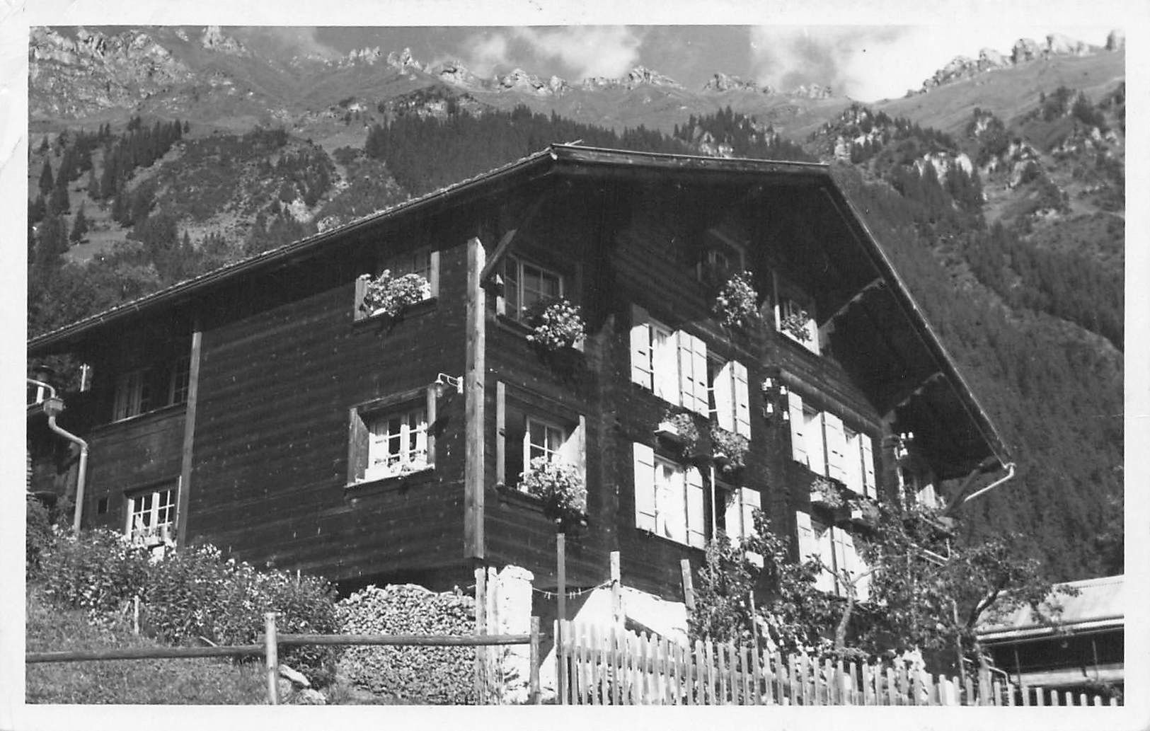 Cartes postales: Wengen BE – D'occasion à Biasca par Blenio71