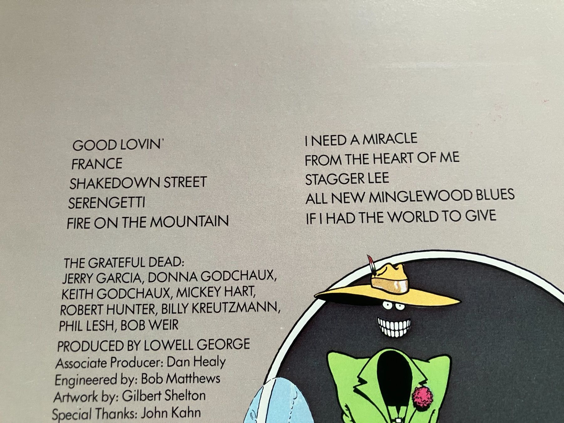 Vinyles: The Grateful Dead – D'occasion à Aarwangen par Jukebox3 3