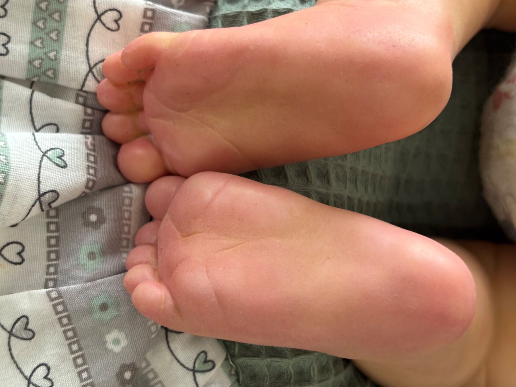 Reborn Bambole: Original Rebornbaby – Nuovo e nell'imballaggio originale da St. Gallen venduto da SeverineWalli 8