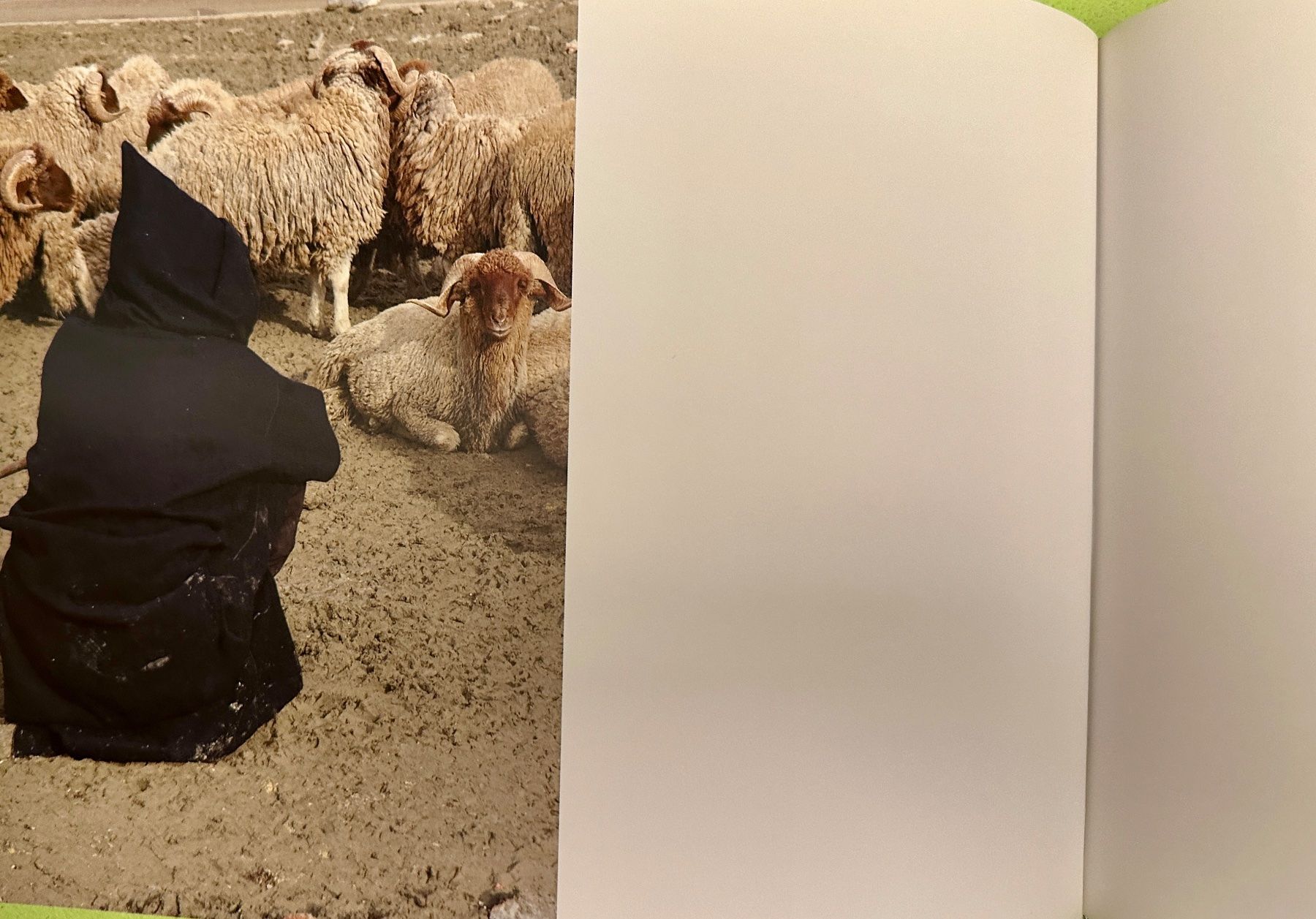 Libri: Amsel, Florian Vetsch: Tanger Trance. d/f/e – Usato da Zürich venduto da allp 6