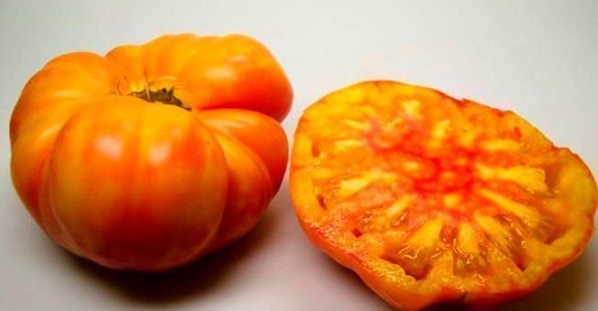 Pflanzen & Samen: 30 Samen FLAME Tomate – Neu (gemäss Beschreibung) aus Ehrendingen von VerveinaSamen