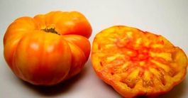 30 Samen FLAME Tomate