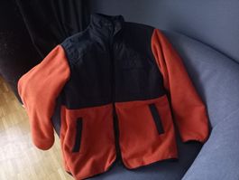 Zara junge Jacke  Größe 13-14 Jahre