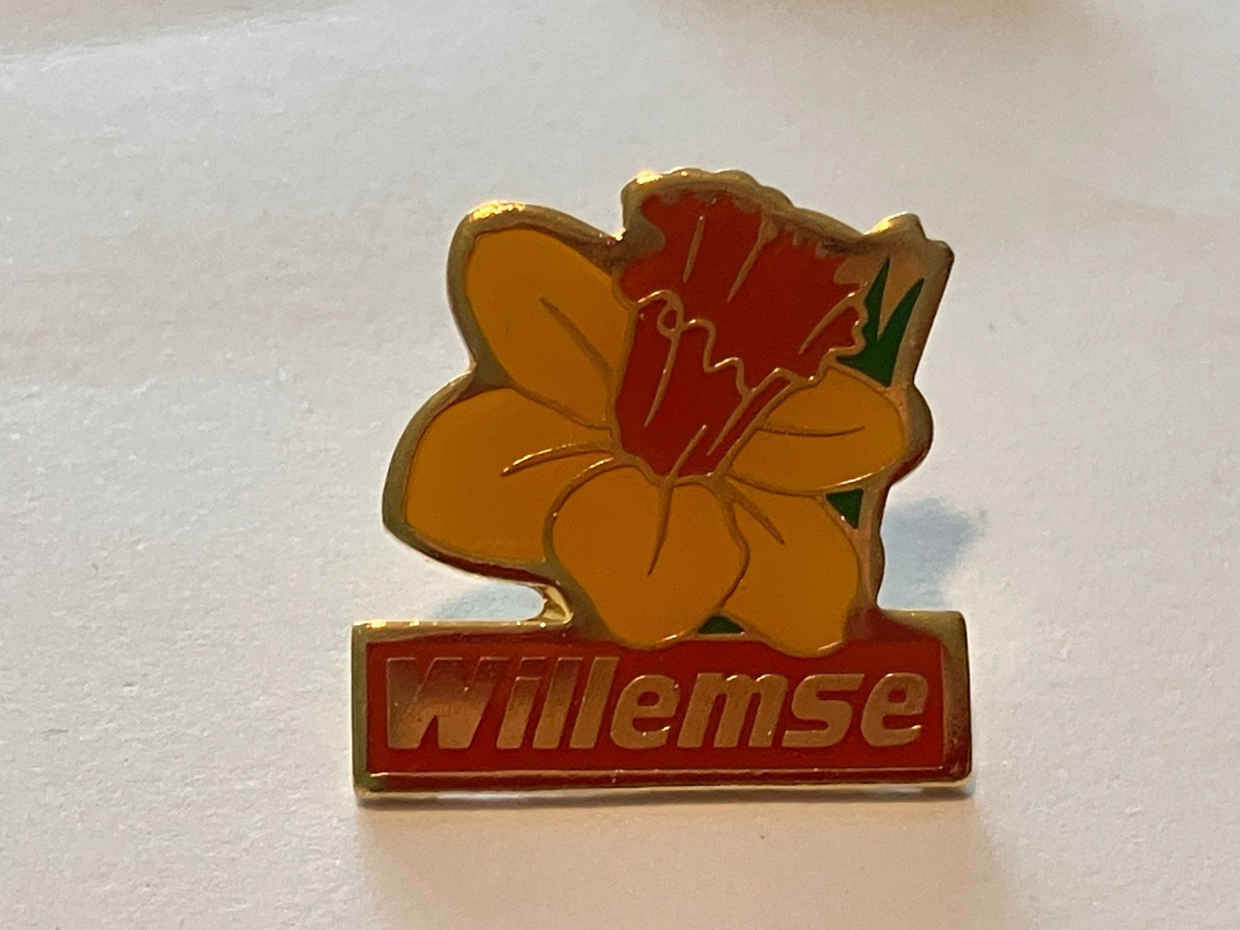 Placchette & Badge: 1 Pin Willemse – Usato da Basel venduto da djwwpp