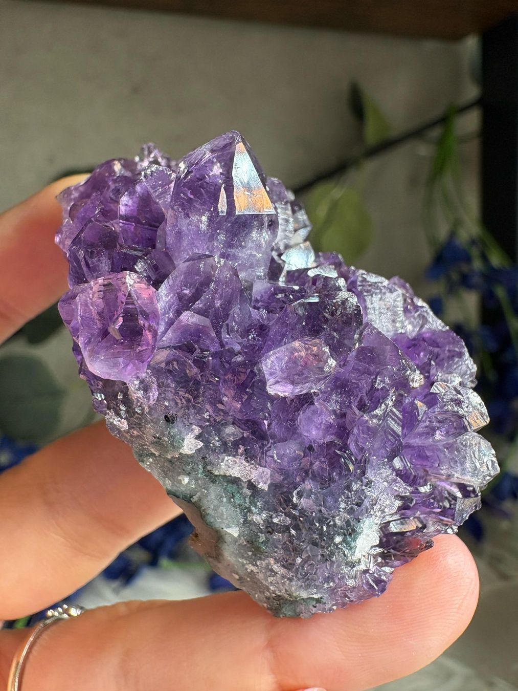 Pietre preziose: Uruguay Amethyst – Super High Quality – Nuovo (secondo la descrizione) da Neuheim venduto da m.hald 7