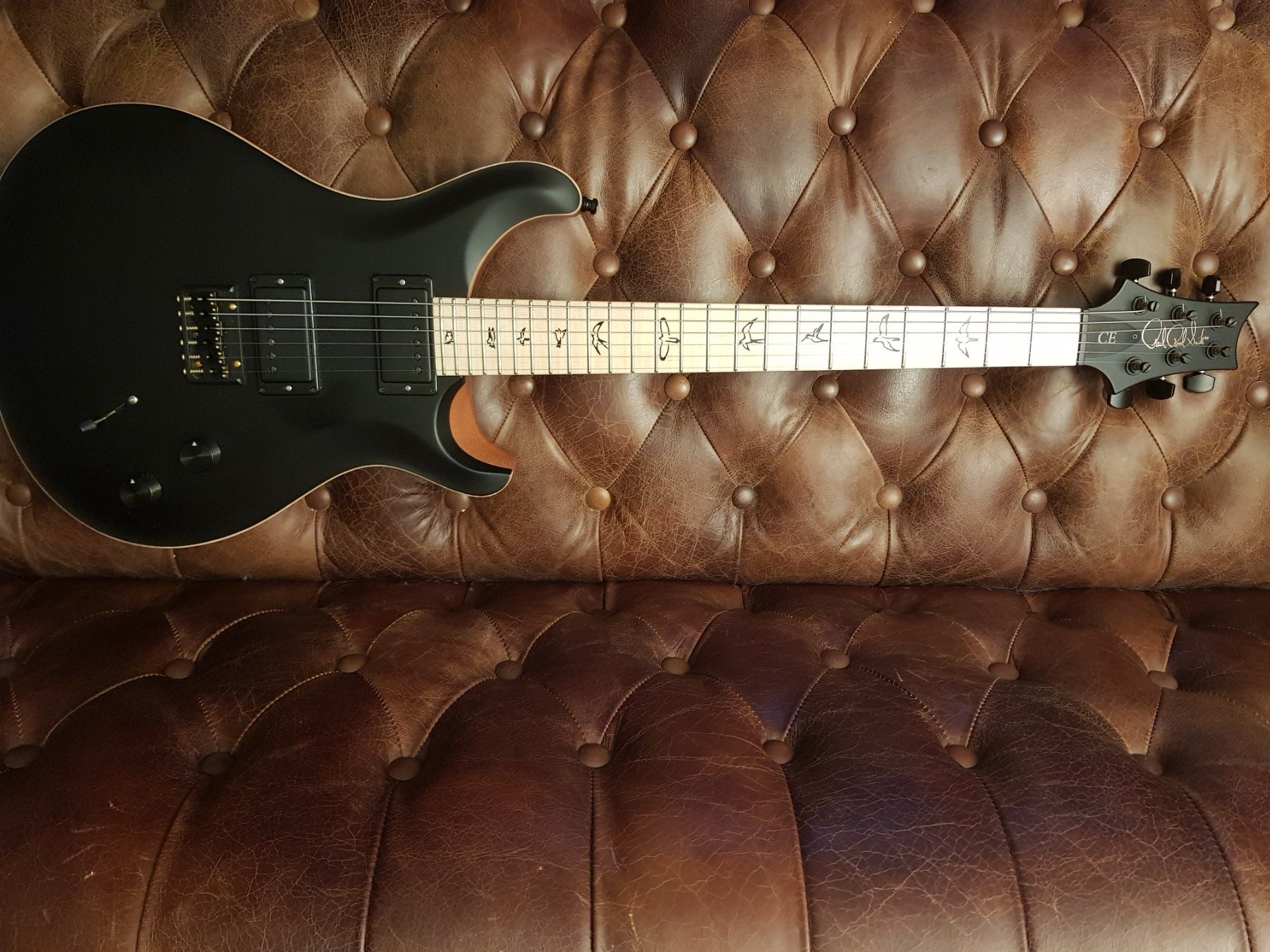 Strumenti musicali: Prs Dustie Waring – Usato da Sachseln venduto da zol_w65w 1