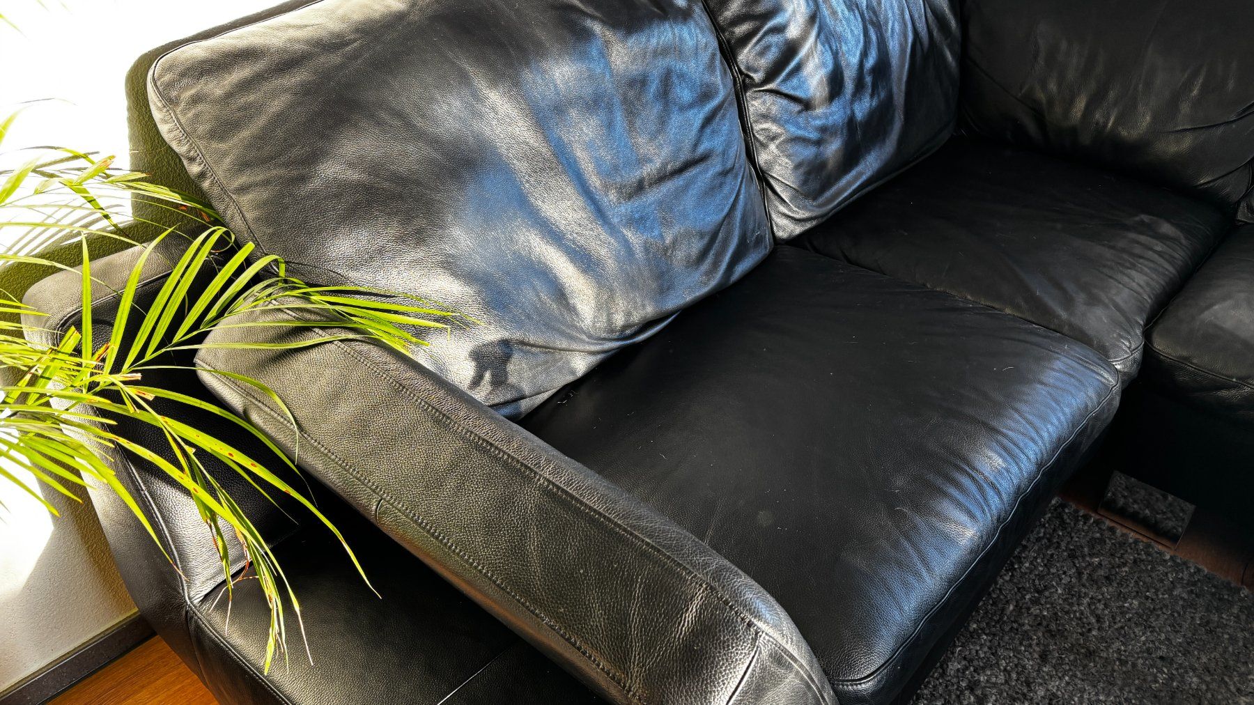 Divani: Hochwertige Echtledercouch fürs Wohnzimmer – Usato da Ermensee venduto da Schweizertom23 3