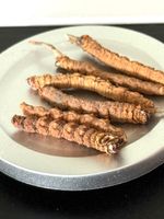 Cordyceps sinensis – aus den Höhen des Himalaya 6 Stück