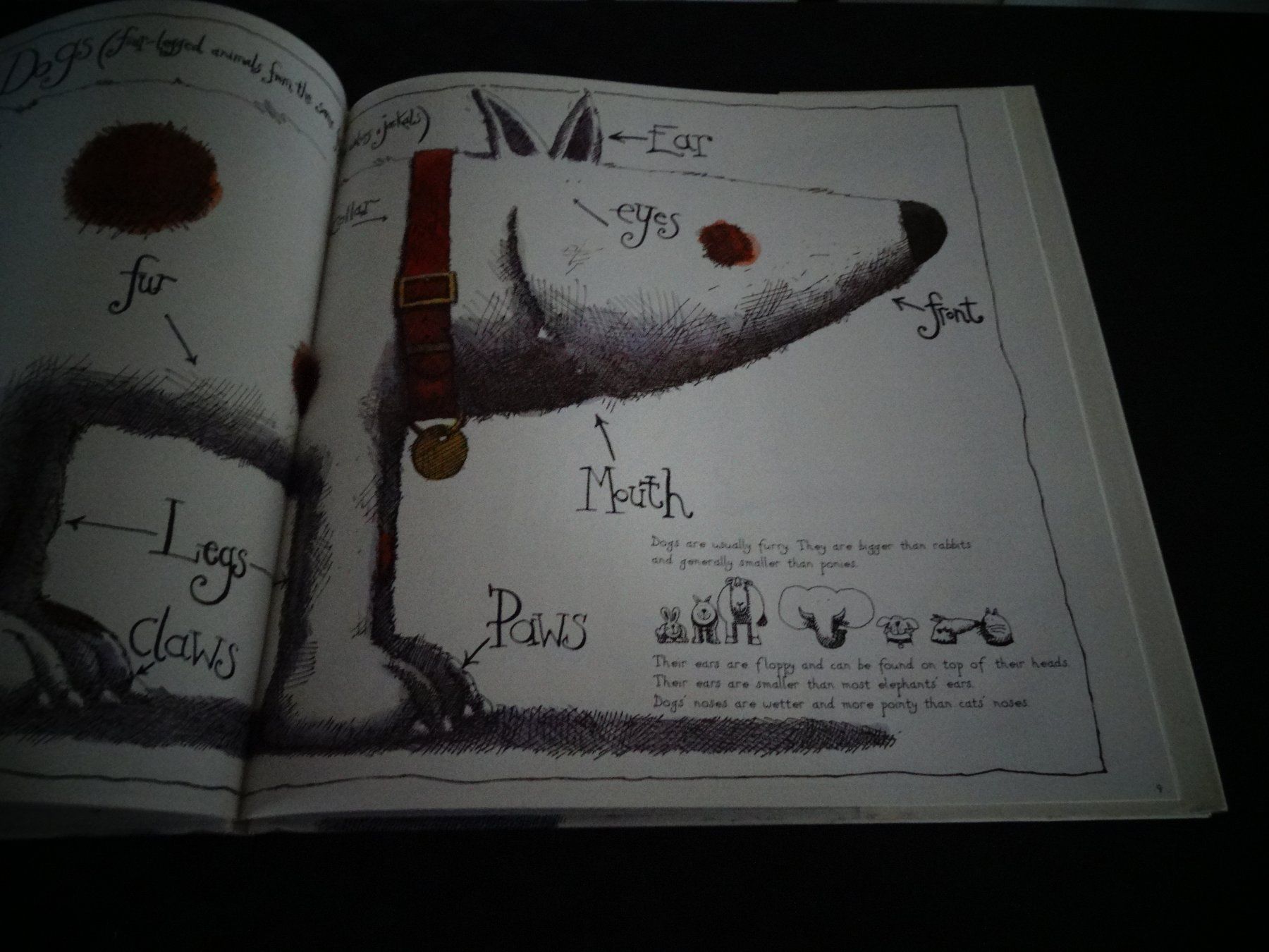 Bücher: How Dogs Really Work – Gebraucht aus Neerach von jenny062 5