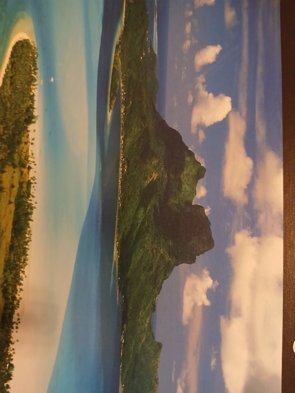 Ravensburger Puzzle: Puzzle Ravensburger National Geographic 1000 pièces  – Nuovo (secondo la descrizione) da Monthey venduto da mar_h6jr 4