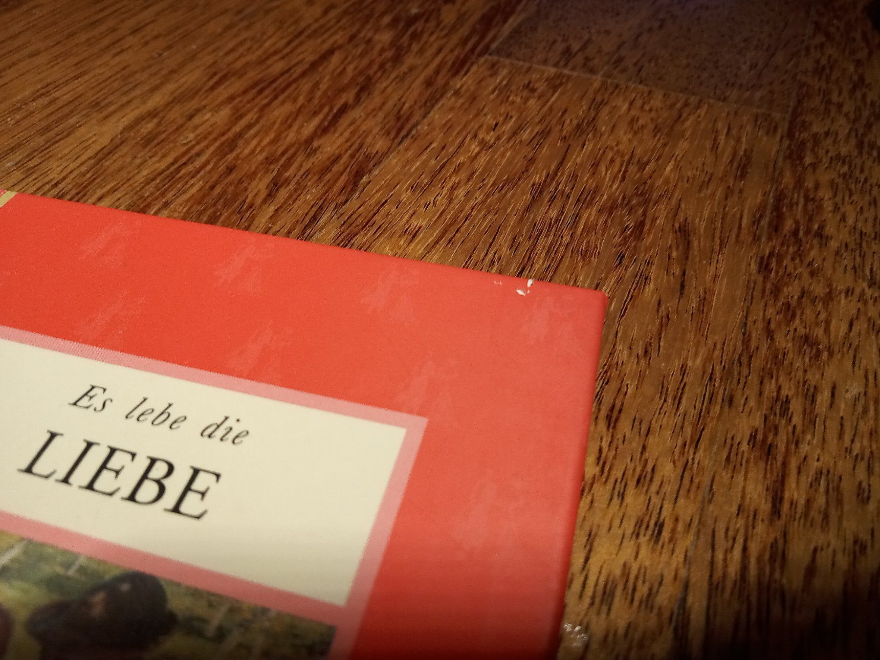 Bücher: Buch: Es lebe die Liebe – Gebraucht aus Büren SO von swelch 1