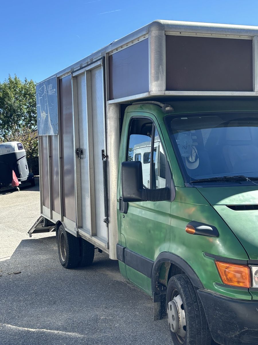 Iveco Veicoli commerciali: Pferdetransporter Iveco – Usato da Balsthal venduto da Mluethi 1
