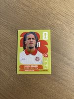 Panini Fifa WM 2026, TUN 14