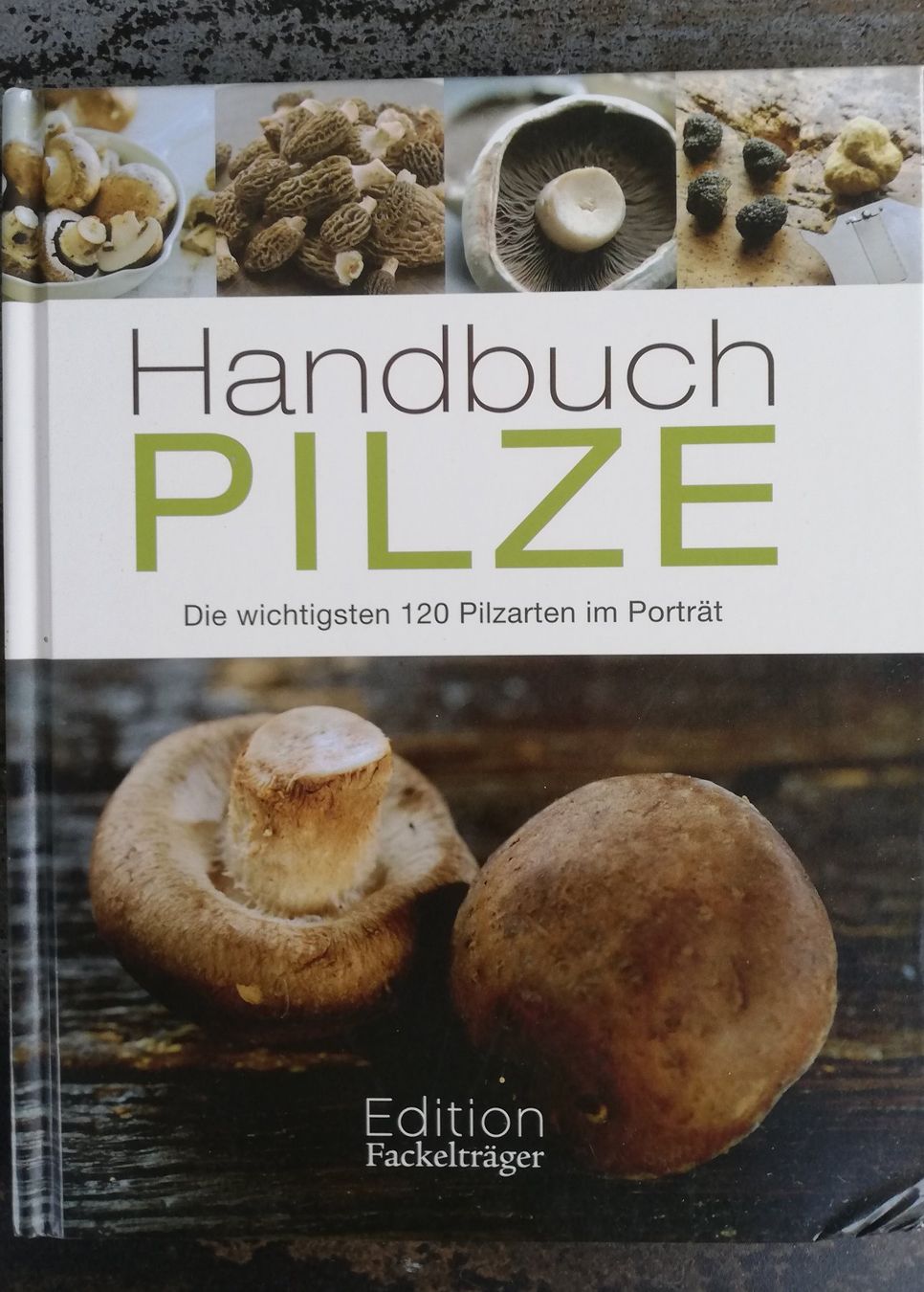 Bücher: Handbuch Pilze – Gebraucht aus Hildisrieden von Malve