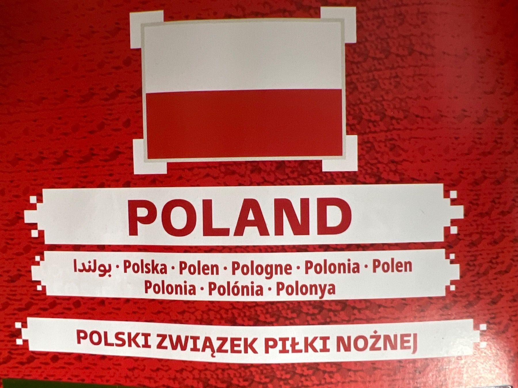 Panini Carte collezionabili: Panini Qatar 2022 Oryx Edition Poland – Nuovo (secondo la descrizione) da Dietikon venduto da Emoruk 2