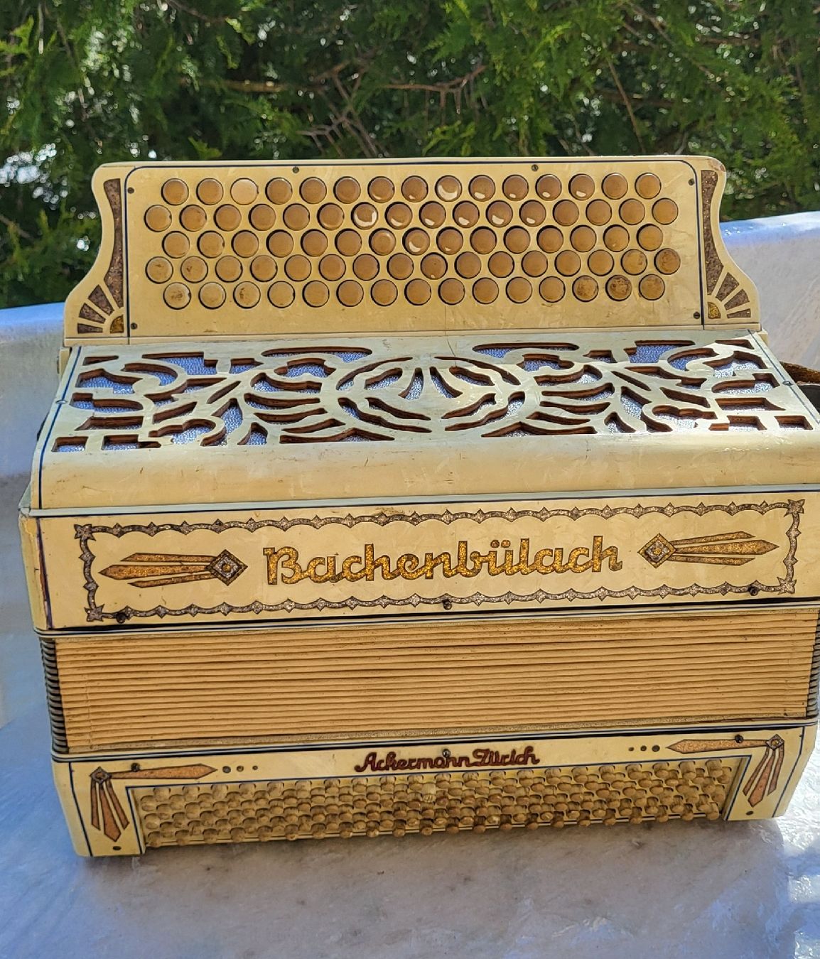 Strumenti musicali: Accordéon Bachenbulach suisse – Usato da Penthalaz venduto da EvandroLuz 2