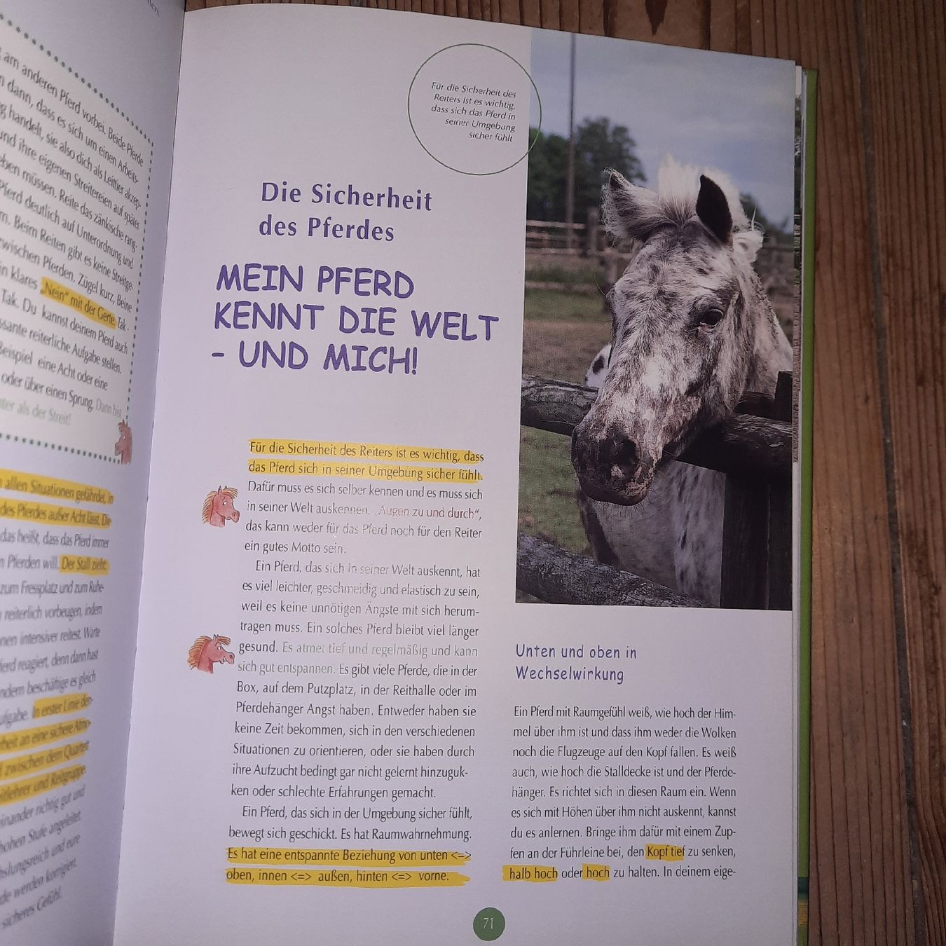 Bücher: Mary Lous Ponyclub – Neu (gemäss Beschreibung) aus Riedikon von cor_7jcd 3