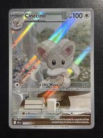 Cinccino - BLK 153 🇺🇸