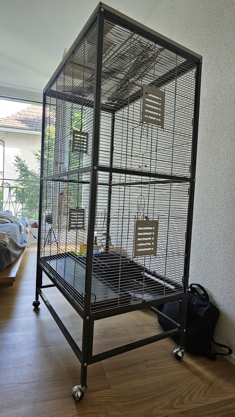 Gabbie, trasporto & Sicurezza: Vogelkäfig  / Nagetierkäfig – Usato da Baden venduto da mor_qlk6 1