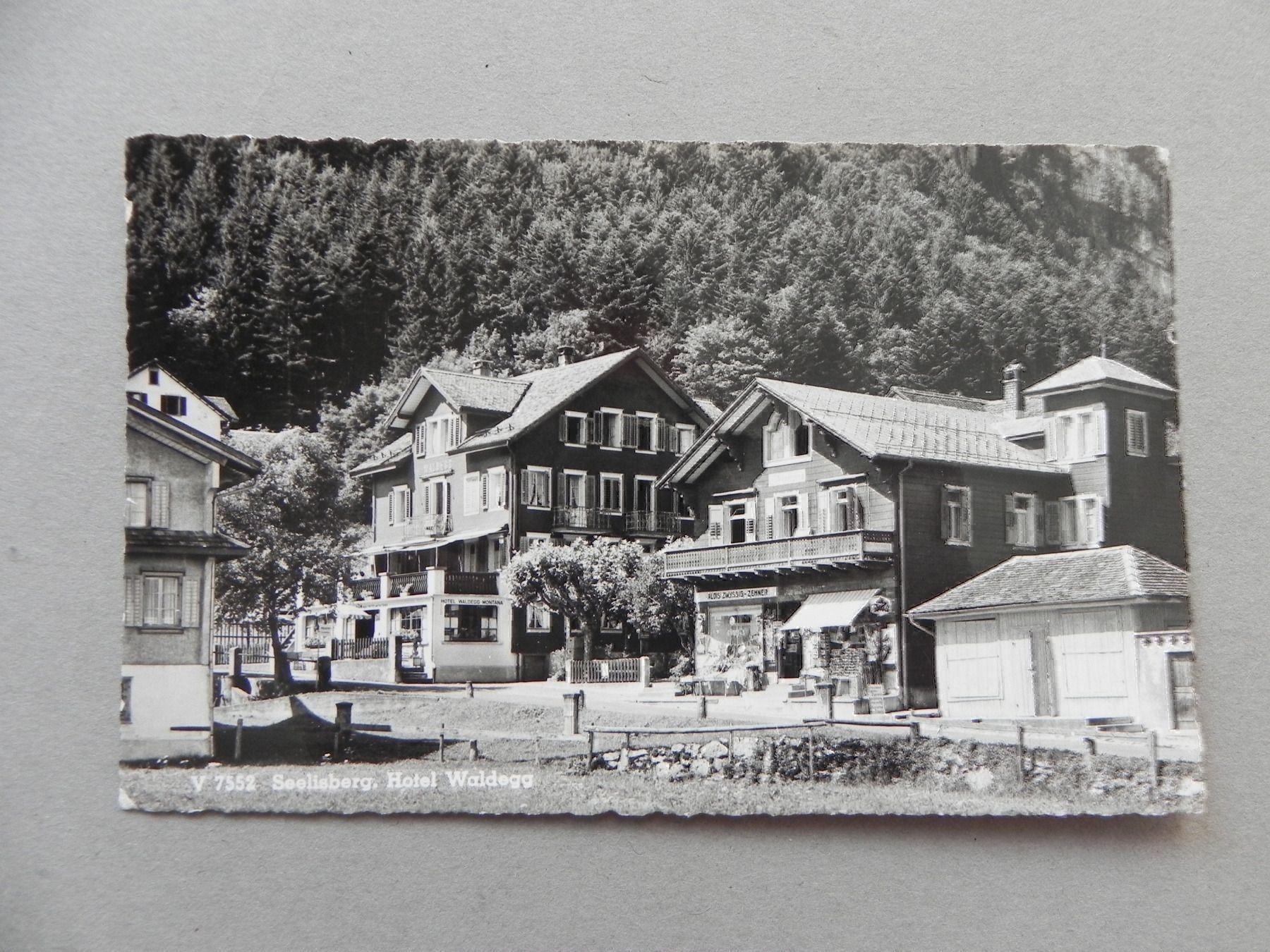 Cartoline postali: Karte Seelisberg UR Waldegg Geschäft – Usato da Siebnen venduto da krimsie