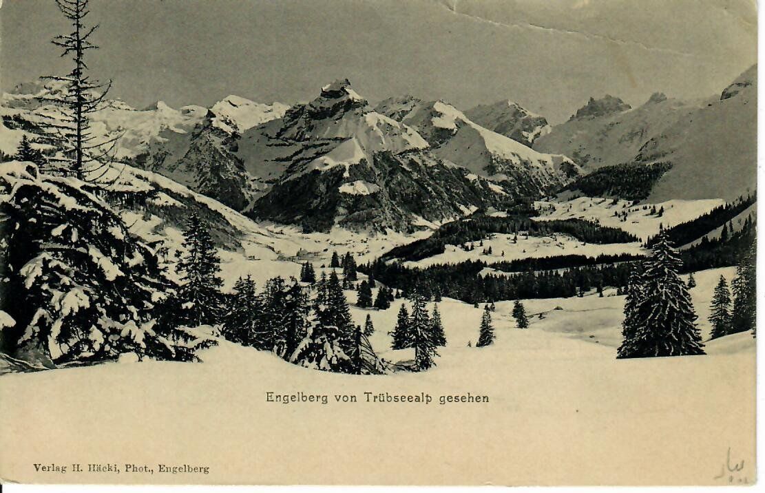 Cartes postales: Engelberg  1904 – D'occasion à Hochdorf par Ziegel-16