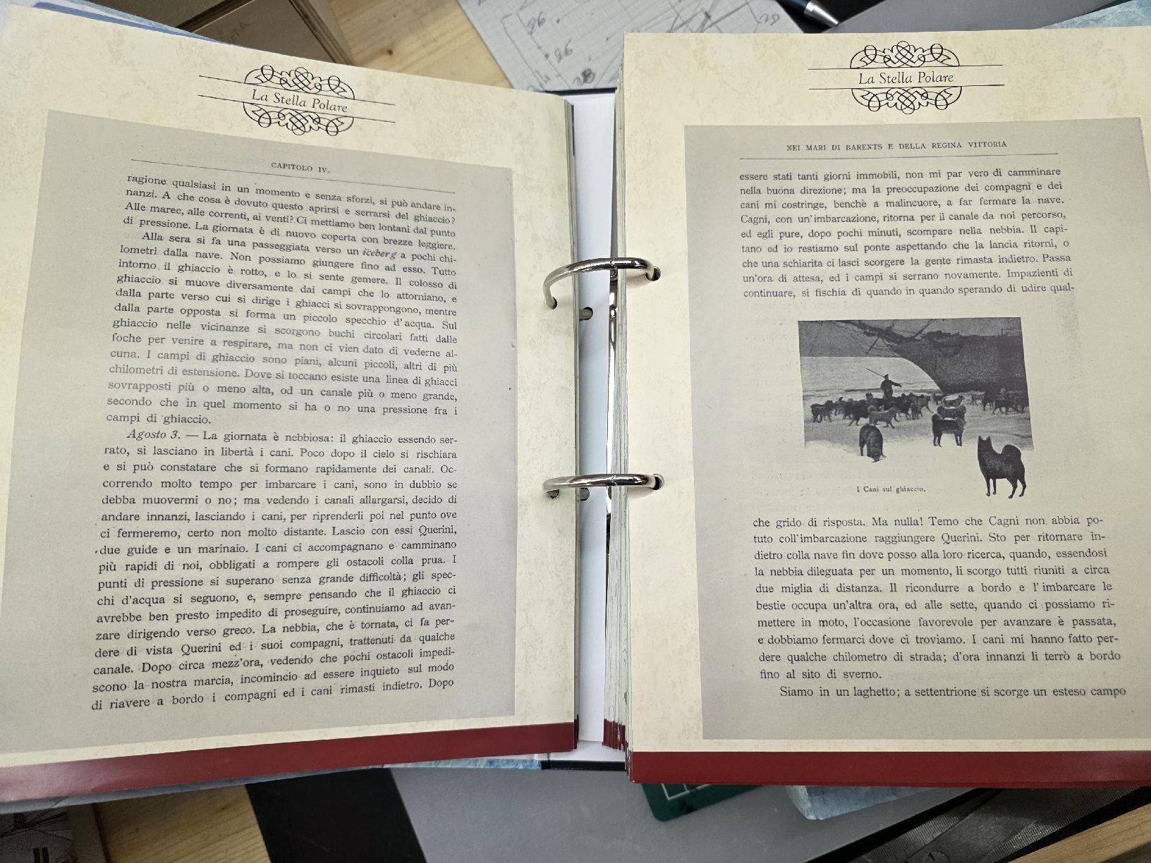 Kit di modellismo & Modellini statici: Kit montaggio Stella Polare Hachette – Nuovo e nell'imballaggio originale da Calpiogna venduto da Nerowolf 4
