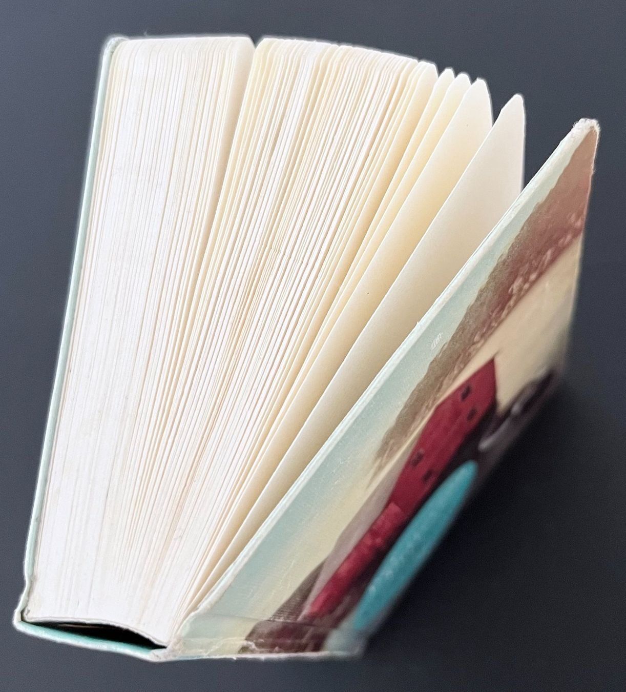 Libri: Per Petterson - Pferde stehlen – Usato da Wettingen venduto da Licht08 3