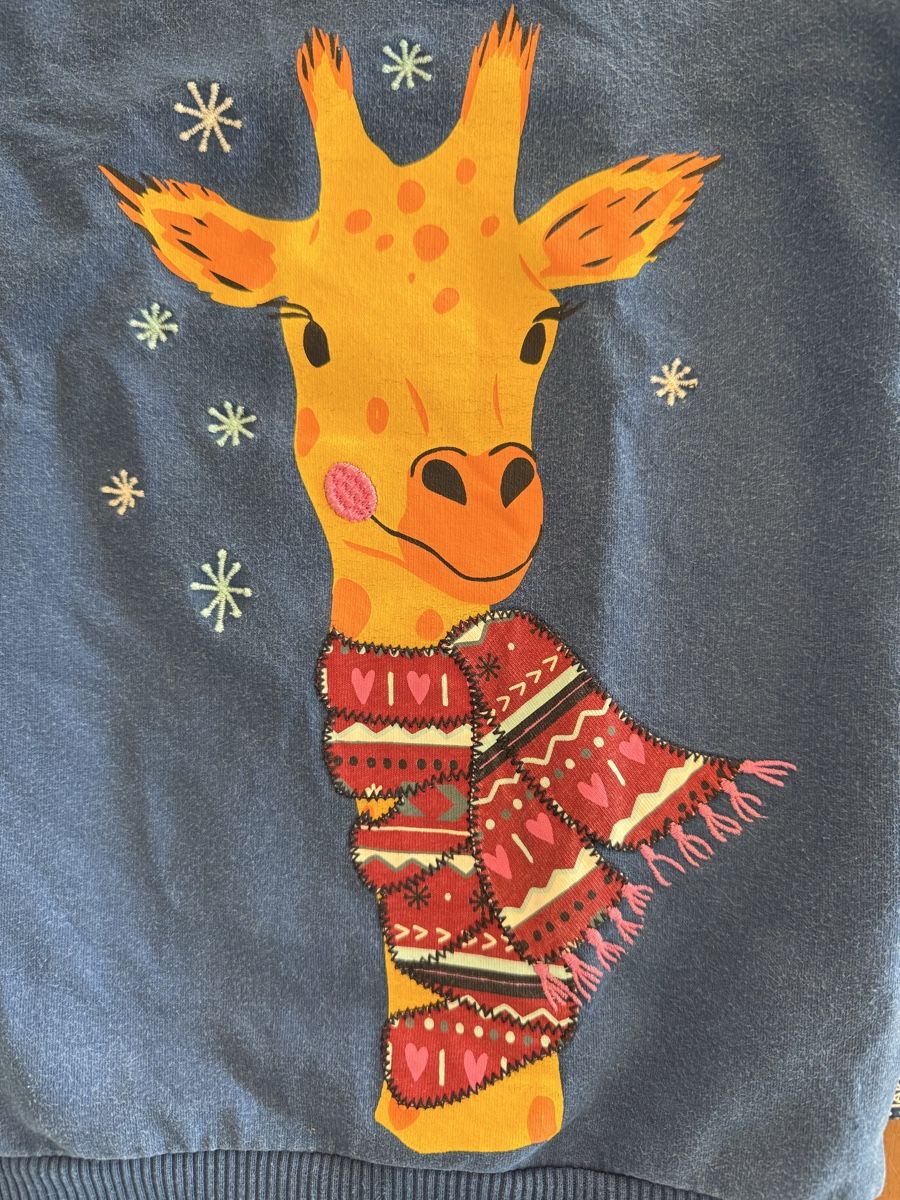 Jako-O Pulls & Sweat-shirts: Pullover Jako-o (Gr. 116/122) – D'occasion à Bern par estrellita2014 1