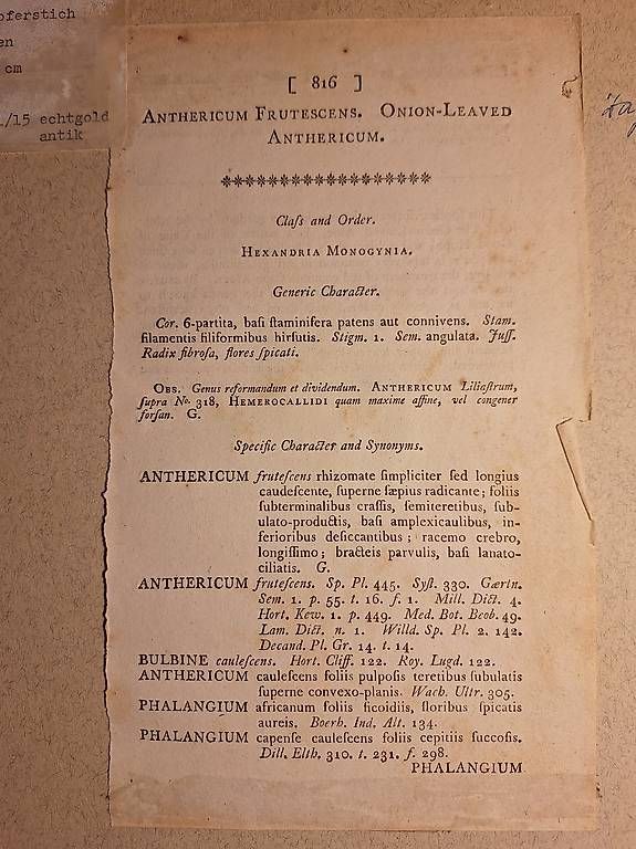 Stiche: Original Kupferstich Curtis Blumen – Gebraucht aus Flerden von Brockengespenst 1