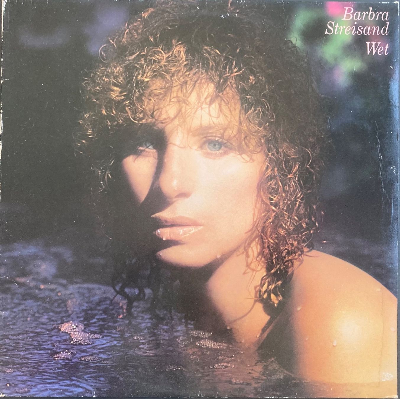 Schallplatten: BARBARA STREISAND - WET – Gebraucht aus Poliez-Pittet von Newtown-Records