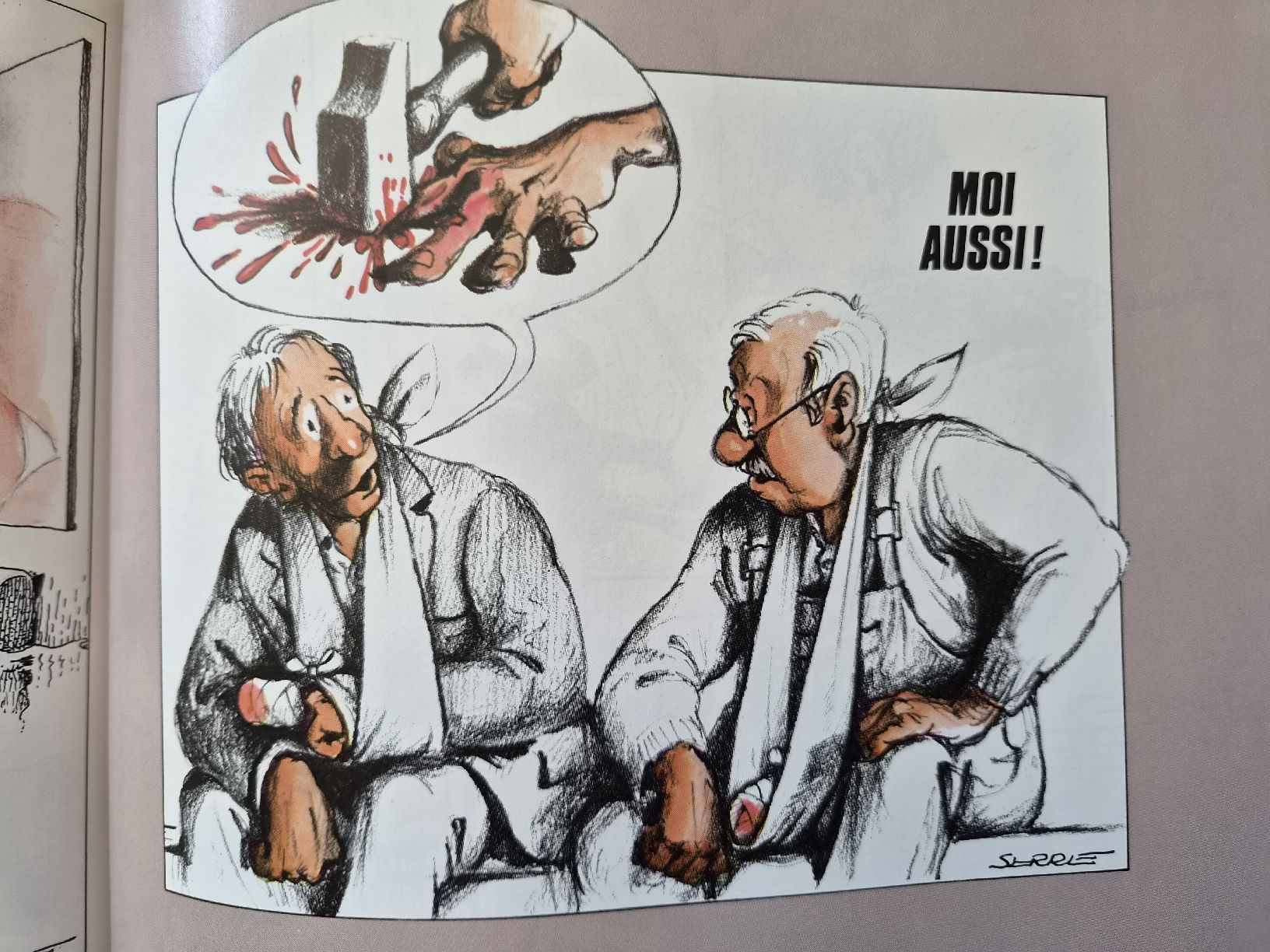 Fumetti: BD Serre le bricolage – Usato da Versoix venduto da rucio 5