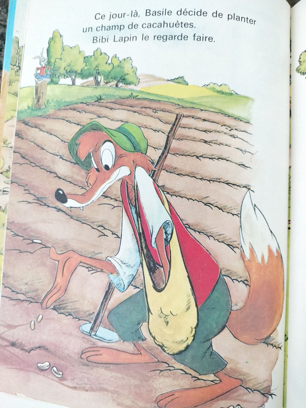 Libri: Bibi Lapin Et Ses Amis Disney (Studio) – Usato da Cortaillod venduto da rozinna 3