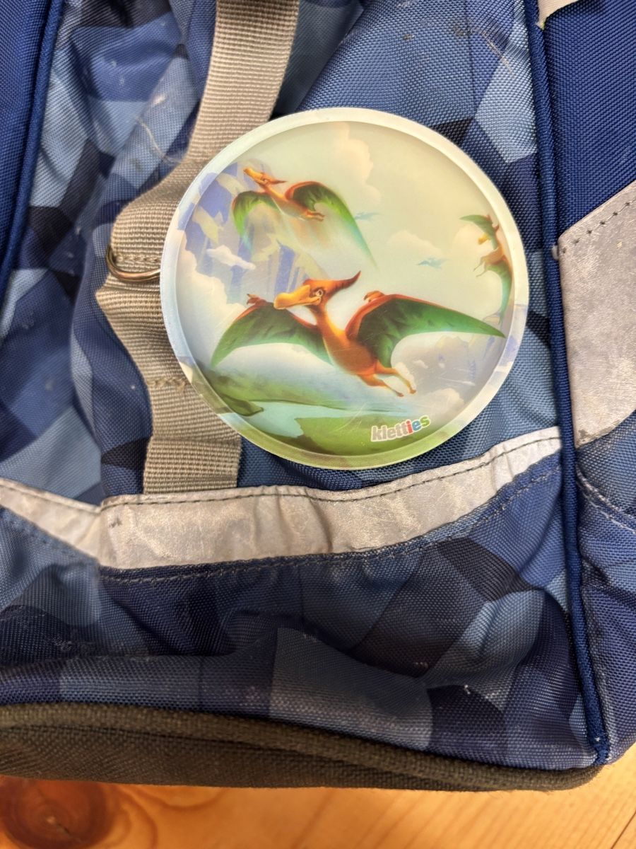 Ergobag Kindertaschen: Ergobag Rucksack Kinder – Gebraucht aus Büren an der Aare von Nikito2001 2