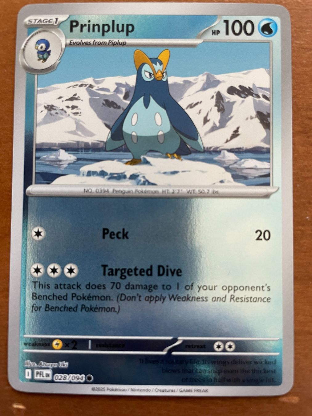 Pokémon Cartes à collectionner: Pokemon Prinplup Reverse (Versand gratis) – Neuf (Voir description) à Chur par Angerson