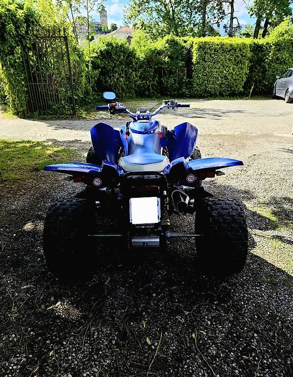Access Motor ATV / Quad: Quad Access SP450 – Usato da Chavornay venduto da Estlgall 4