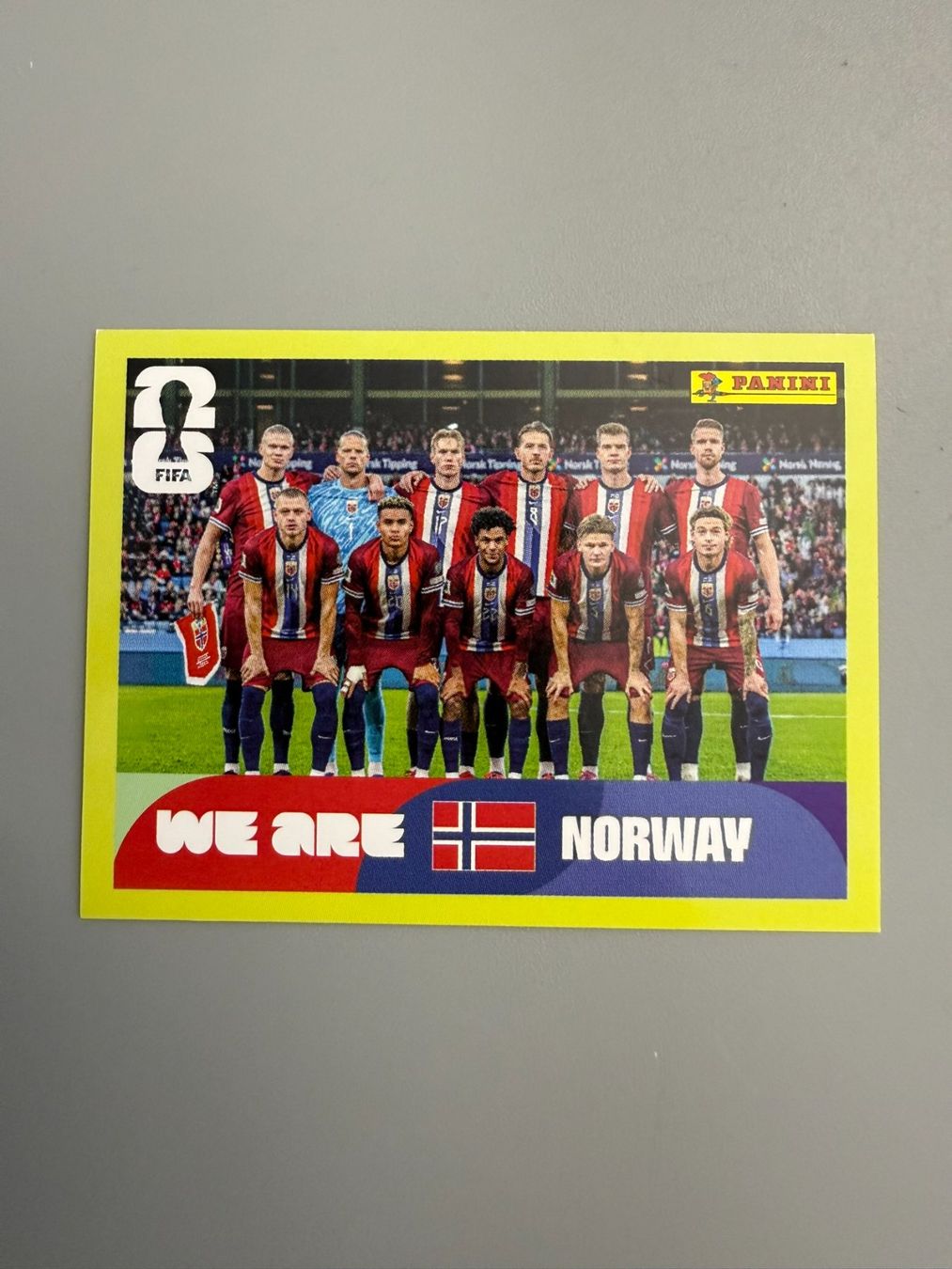 Panini Carte collezionabili: Panini Norwegen Team NOR13 – Usato da Liebefeld venduto da Ronaldo-1996