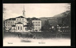 Sarnen, Gymnasium mit weidenden Kühen