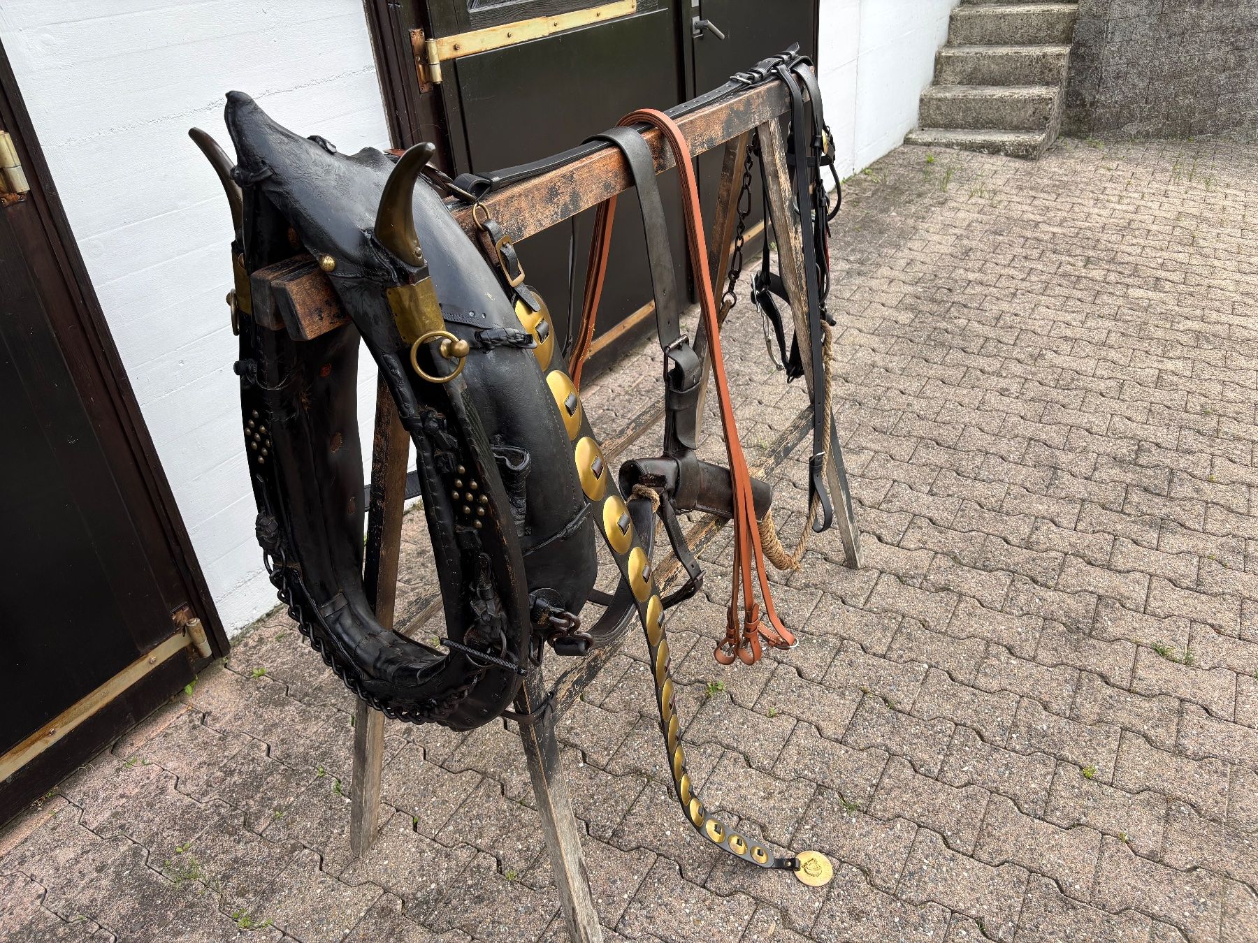 Carrozze: Ostschweizer / Appenzeller Pferdegeschirr – Usato da Feldbach venduto da Fea1 5