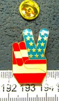 USA V PIN